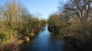 Image result for Basingstoke Sc