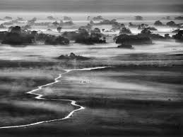 Image result for sebastiao salgado