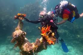 Image result for Southdown Divers