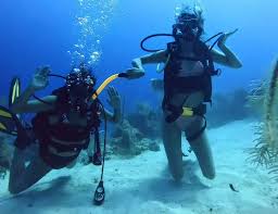 Image result for Scuba Fun