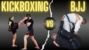 Image result for United Dojos Kickboxing