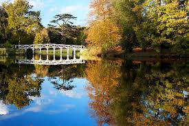 Image result for Cobham