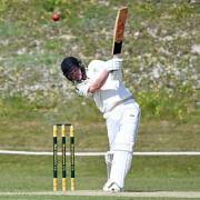 Image result for Portland Red Triangle Cricket Club