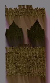 Attēlu rezultāti vaicājumam “Physarum straminipes young”