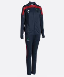 Image result for Norwich Dragons Hockey Club