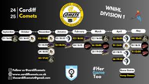 Image result for Cardiff Comets Ladies Ice Hockey