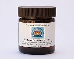 Attēlu rezultāti vaicājumam “Ledum palustre fruit”