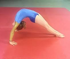 Image result for Sponte Sua Gym