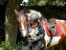 Image result for Scottish Equi Complex