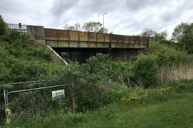 Image result for Buckhorn Weston Cricket Club