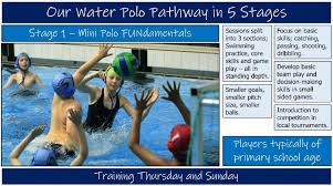 Image result for Taunton Deane Swimming Club