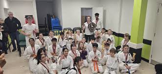 Image result for Woodley Karate Club