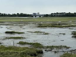 Image result for Poole Harbour Canoe Club