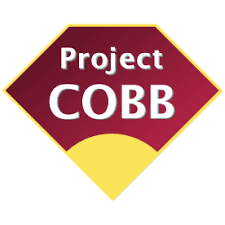 Image result for Norwich Iceni Baseball Club