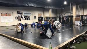 Image result for Revolution Dojo
