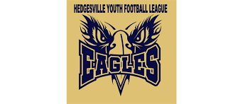 Image result for Hedingham Hawks Youth Football Club