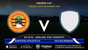 Image result for Banstead Athletic Fc