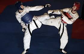 Image result for South Bank Taekwondo