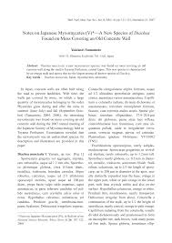 Attēlu rezultāti vaicājumam “Diachea sp.”