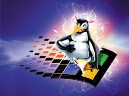 Image result for linux tux