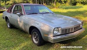 Image result for Silver Blue 1975 Chevrolet