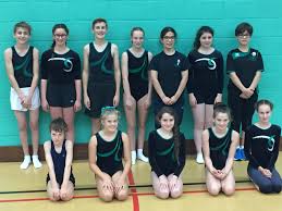 Image result for Swallows Trampoline Club