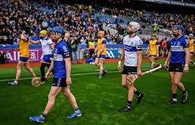 Image result for Sarsfields Hurling Club