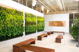 Image result for living wall