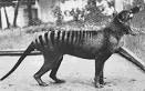 Cryptozoology « Eugene Parnell