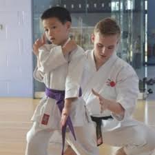 Image result for Haxby karate club