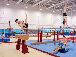 Image result for South Essex Gymnastics Club