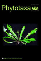 Attēlu rezultāti vaicājumam “Cetrelia sp.”