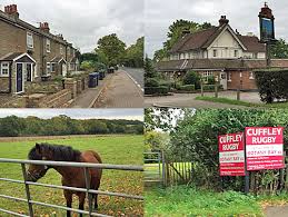 Image result for Botany Bay Cricket Club