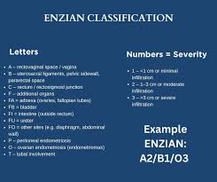 Image result for Enzian