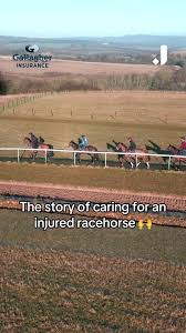 Image result for Haydock Hunters Speedminton Club