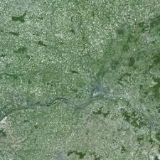 Attēlu rezultāti vaicājumam “Heptatoma pellucens”