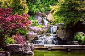 Image result for japanese gardens...