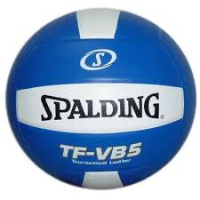 Image result for Spalding Saracens Volleyball Club