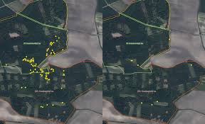 Attēlu rezultāti vaicājumam “Euphydryas maturna larva”