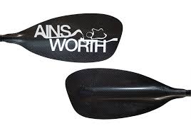 Image result for Paddletastic