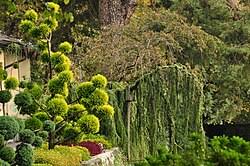Image result for "Parco Ciani"