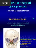 Image result for b%FD%E7ak anatomisi