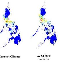 Attēlu rezultāti vaicājumam “Diderma hemisphaericum plasmodium”