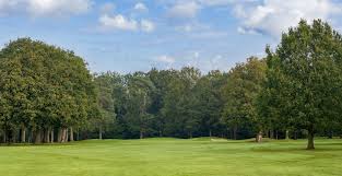 Image result for Chelmsford Gc