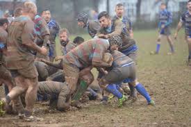 Image result for Brighton Rugby Football Club