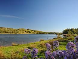 Image result for Rother Valley