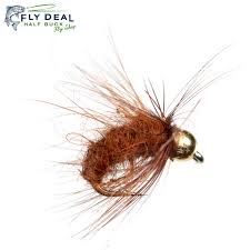 Attēlu rezultāti vaicājumam “Thecabius affinis nymph”