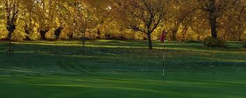 Image result for Strawberry Hill Golf Club