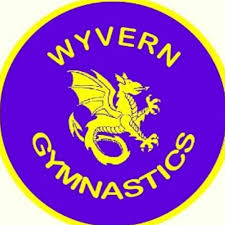 Image result for Wyvern Dragons Junior Badminton Club