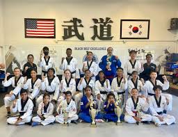 Image result for English International Allstyles Taekwon-Do